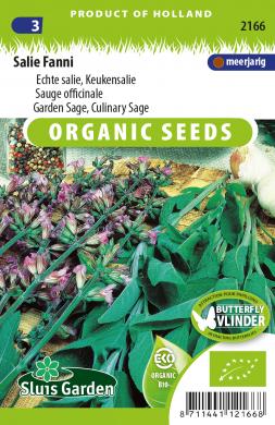 Sage Fanni BIO (Salvia officinalis) 65 seeds